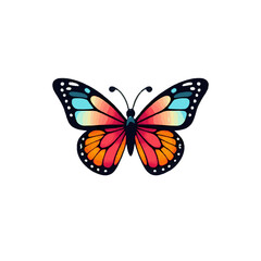 Beautiful Colorful Contoured Butterfly