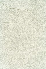 A subtle paper grain overlay in off-white, mimicking handmade paper.
