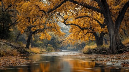 A serene riverscape with golden autumn foliage creating a mesmerizing scene
