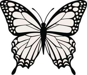 butterfly vector illustration
