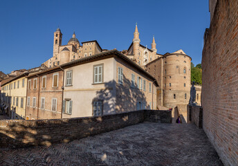 Urbino 12