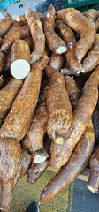 Pile of Fresh Yuca at an Outdoor Market