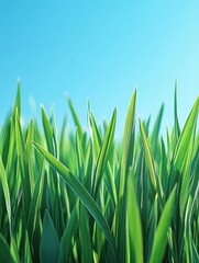 Fototapeta premium Vibrant green grass blades against clear blue sky evoking freshness nature growth and tranquility perfect for spring summer outdoors and environmental themes
