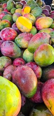 Fresh pile of colorful, tropical mangoes