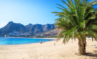 Golden Sands of Las Teresitas Beach with Palm Trees and Scenic Mountain Backdrop in Tenerife, Canary Islands
