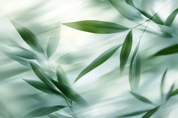 Obraz premium Serene bamboo leaves in soft focus create a tranquil and calming atmosphere with a gentle light and airy feel for wellness and spa concepts