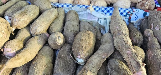 Pile of Dirty Yuca Roots for Sale