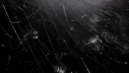 spider web on black background