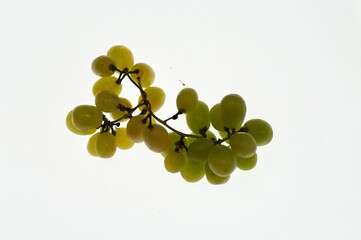 bunch of grapes