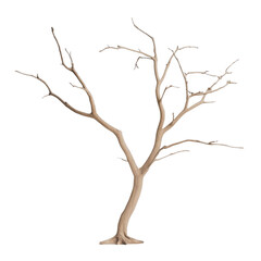 Fototapeta premium A tree with no leaves is depicted in a white background. The tree appears to be bare and lifeless, with no signs of growth or vitality. Concept of emptiness and desolation