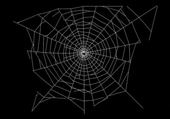 Fototapeta premium Spider web, corner view, intricate pattern, black and white, minimalist design, geometric, arachnid architecture, silk strands, Halloween aesthetic, Gothic