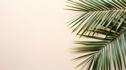 Obraz premium Tropical Green Palm Leaf On A Light Beige Background With Copy Space For Text Or Design Minimalist Flat Lay Summer Theme