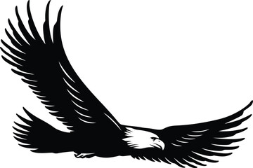 eagle vector illustration