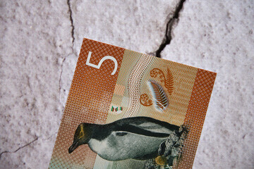 dolar nowozelandzki,banknot 