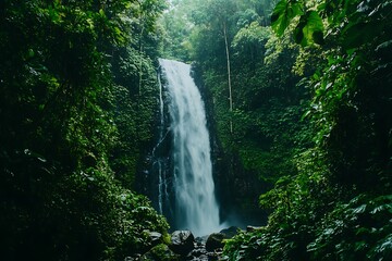 Majestic Waterfall in Lush Rainforest