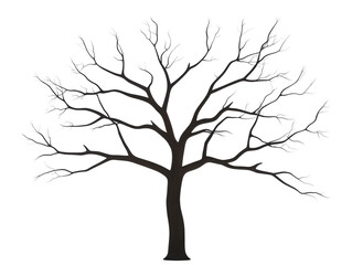 A tree with no leaves is shown in black and white. The tree is tall and has a thin trunk. The image has a somber and melancholic mood, as the tree appears to be barren and lifeless