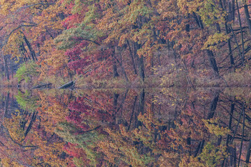 Autumn landscape of the shoreline of Eagle Lake with mirrored reflections in calm water, Fort Custer State Park, Michigan, USA
