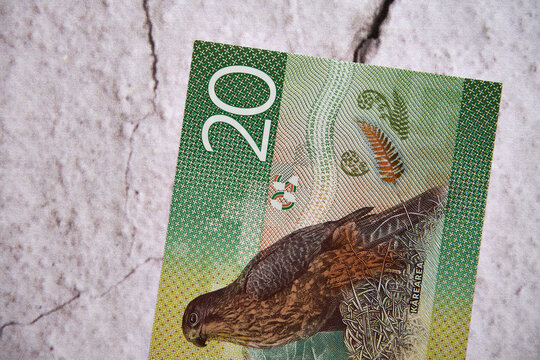 dolar nowozelandzki,banknot 