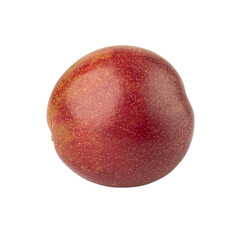 Passion Fruit cutout, full depth of field.