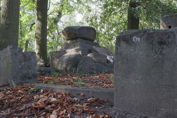gray stone tombstones standing in a park among orange fallen leaves