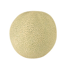 Cantaloupe Melon cutout, full depth of field.