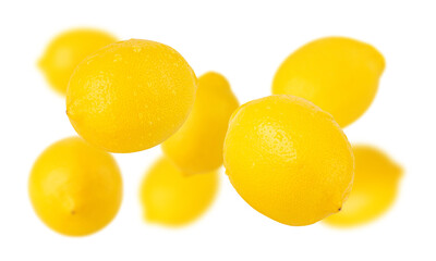 Falling Lemon cutout, full depth of field.