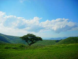 Fuji-Hakone-Izu National Park in Shizuoka, Japan