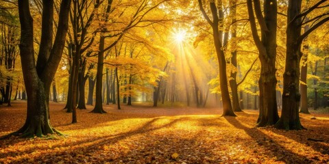 Fototapeta premium Golden Sunlight Illuminates Autumnal Forest Canopy, Creating a Dreamlike Atmosphere of Serene Beauty