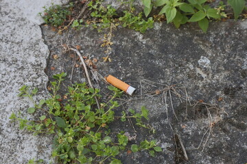 a yellow-white cigarette butt lies on a gray stone among green plants