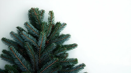 Obraz premium Close Up of a Fresh Green Christmas Tree Top Against a Clean White Background for Holiday Season