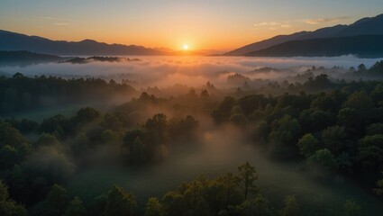 Breathtaking Sunrise Over a Foggy Valley Surrounded by Lush Green Trees and Mountains