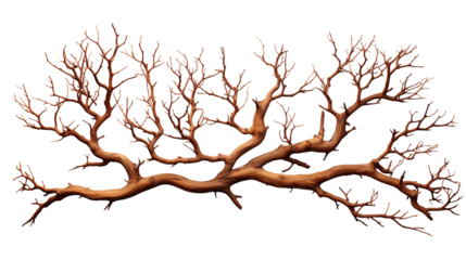 Brown Wooden Branch Rustic Home Decor, Natural Dried Element for Nature-Inspired Design, isolated on transparent background.
