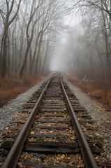 Fototapeta premium Into the Mist: A single set of weathered railway tracks disappears into the dense, ethereal fog of a winter woodland. The trees stand tall and bare.