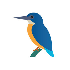 common kingfisher bird icon with white background