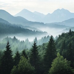 Mist-shrouded peaks and forest in Slovakia