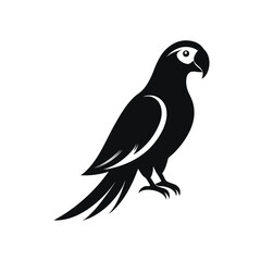 Fototapeta premium parrots bird icon silhouette with white background