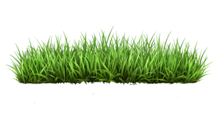 . "A patch of healthy, bright green lawn grass, isolated on transparent background, perfect for a nature-inspired design.