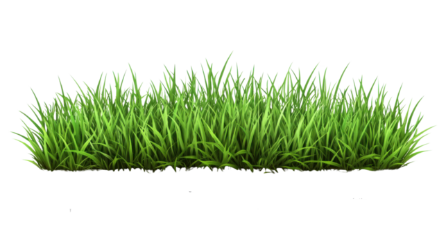 . "A patch of healthy, bright green lawn grass, isolated on transparent background, perfect for a nature-inspired design. - Powered by Adobe