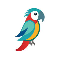 parrots bird  with white background