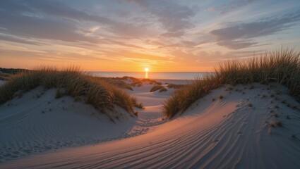 Beautiful Sunset Over Sandy Dunes on a Beach with Lush Grass and Calm Ocean Waves