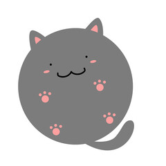 Grey cat with pink paws from under