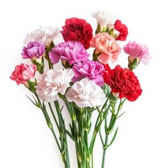 Floral bouquet with carnations