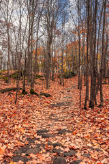 Magnificent colorful Fall day in Rougemont park, Quebec