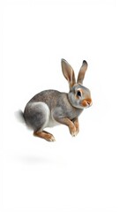Obraz premium Jumping Rabbit
