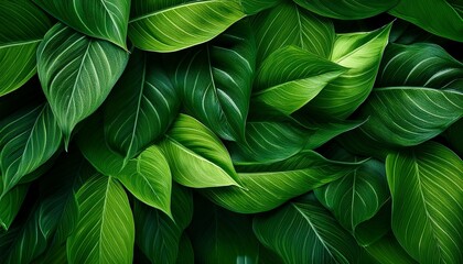 an artistic close up of lush green leaves with detailed textures