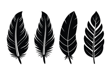Fototapeta premium Feather icons, bird feather silhouettes vector, black feather icons set, set of feather silhouette vector, Feather Symbols set