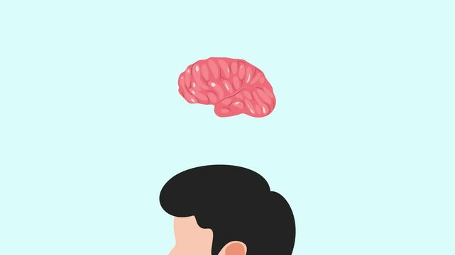 Animated video Human body anatomy concept. Full length animation illustration. High quality 4k footage.