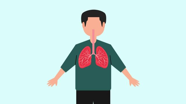 Animated video Human body anatomy concept. Full length animation illustration. High quality 4k footage.