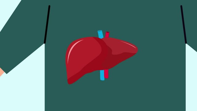 Animated video Human body anatomy concept. Full length animation illustration. High quality 4k footage.
