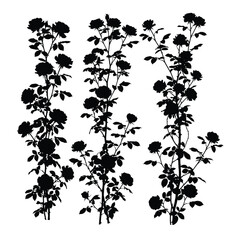 Silhouette of Rose  Flower tree with leaves beautiful look    vector illustration art, white background